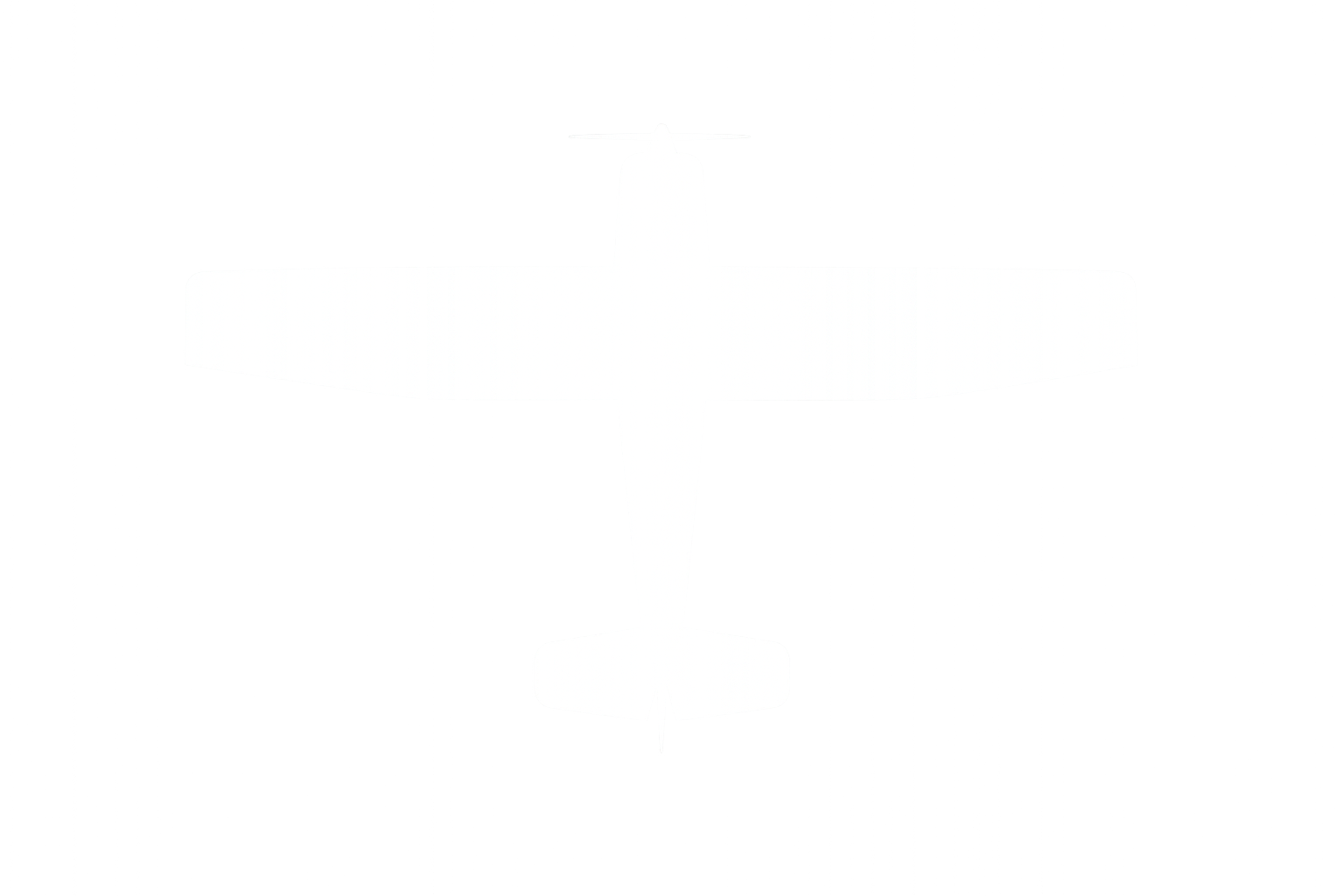 Plane Icon
